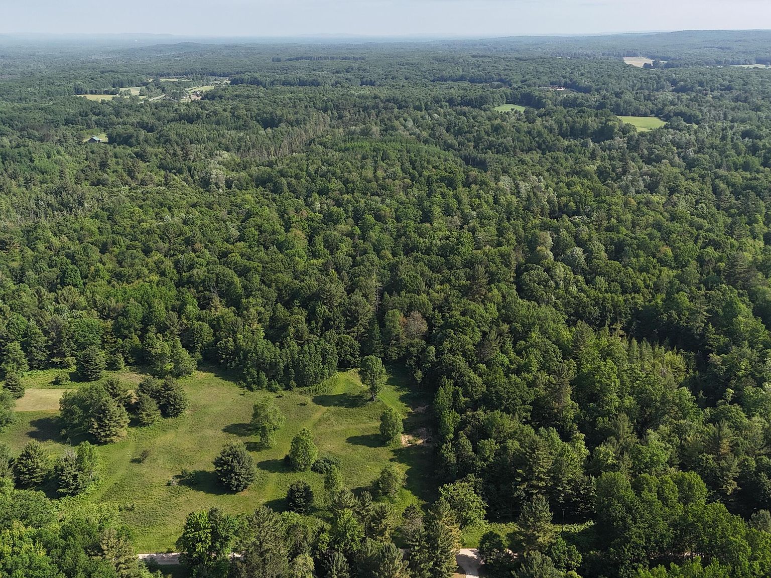 16311 Dickson Rd Brethren, MI 49619  | Land/Lot