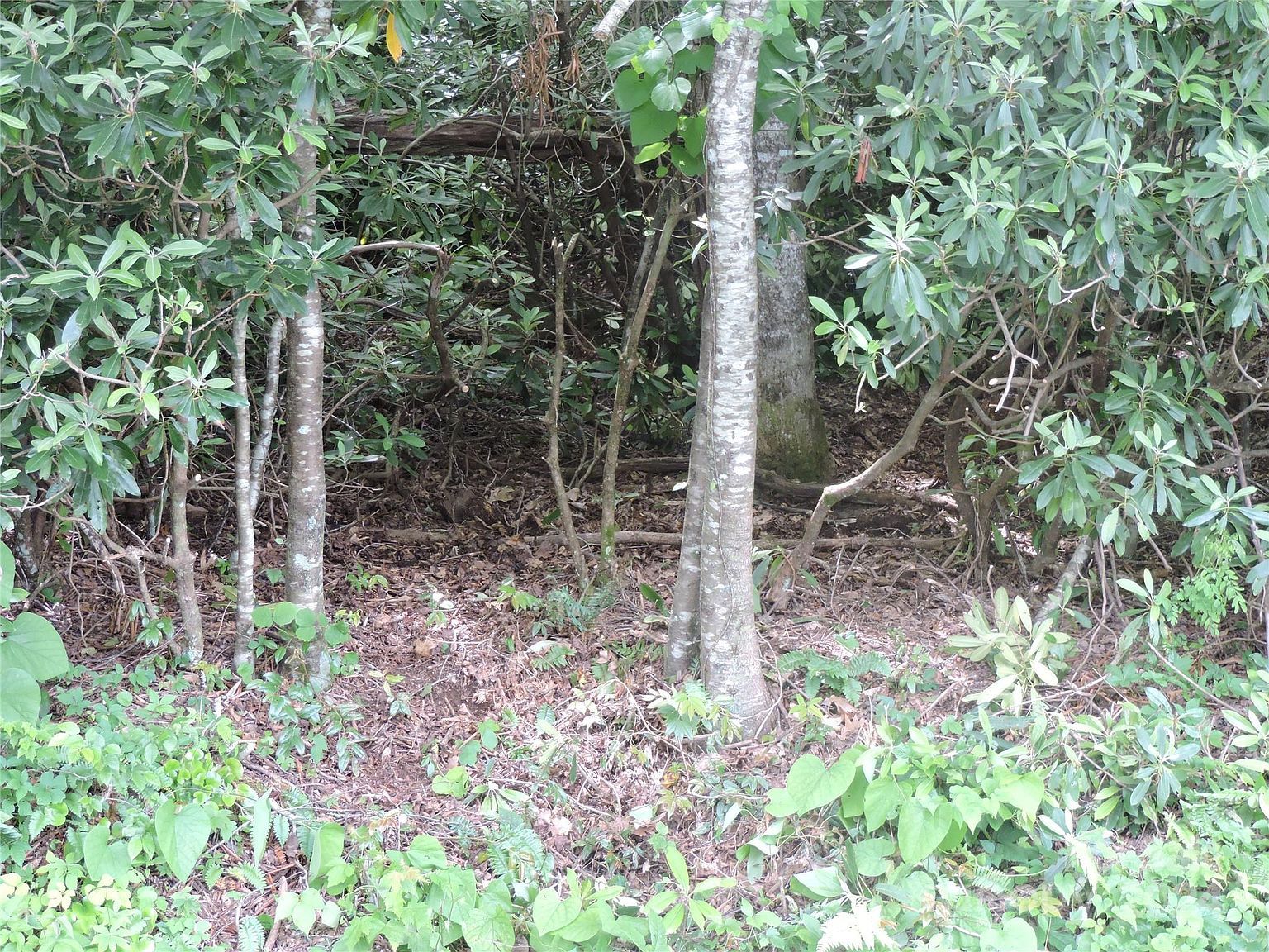 0 S Toe River Rd #3 Burnsville, NC 28714  | Land/Lot