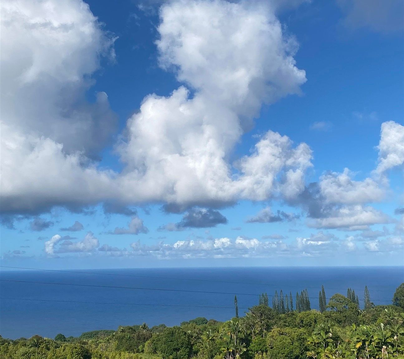 1130 Hana Hwy Hana, HI 96713  | Single Family