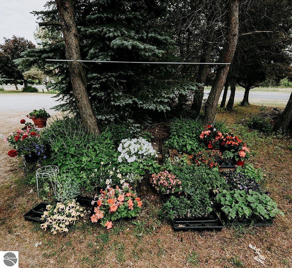 11184 N Mill St Northport, MI 49670  | Land/Lot