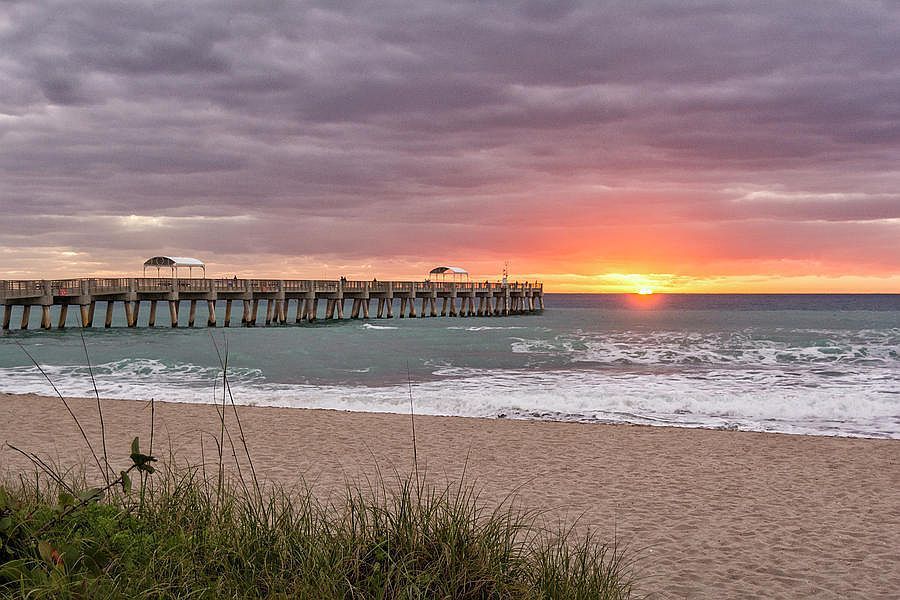 2739 Dudley Dr W APT C West Palm Beach, FL 33415  | Single Family