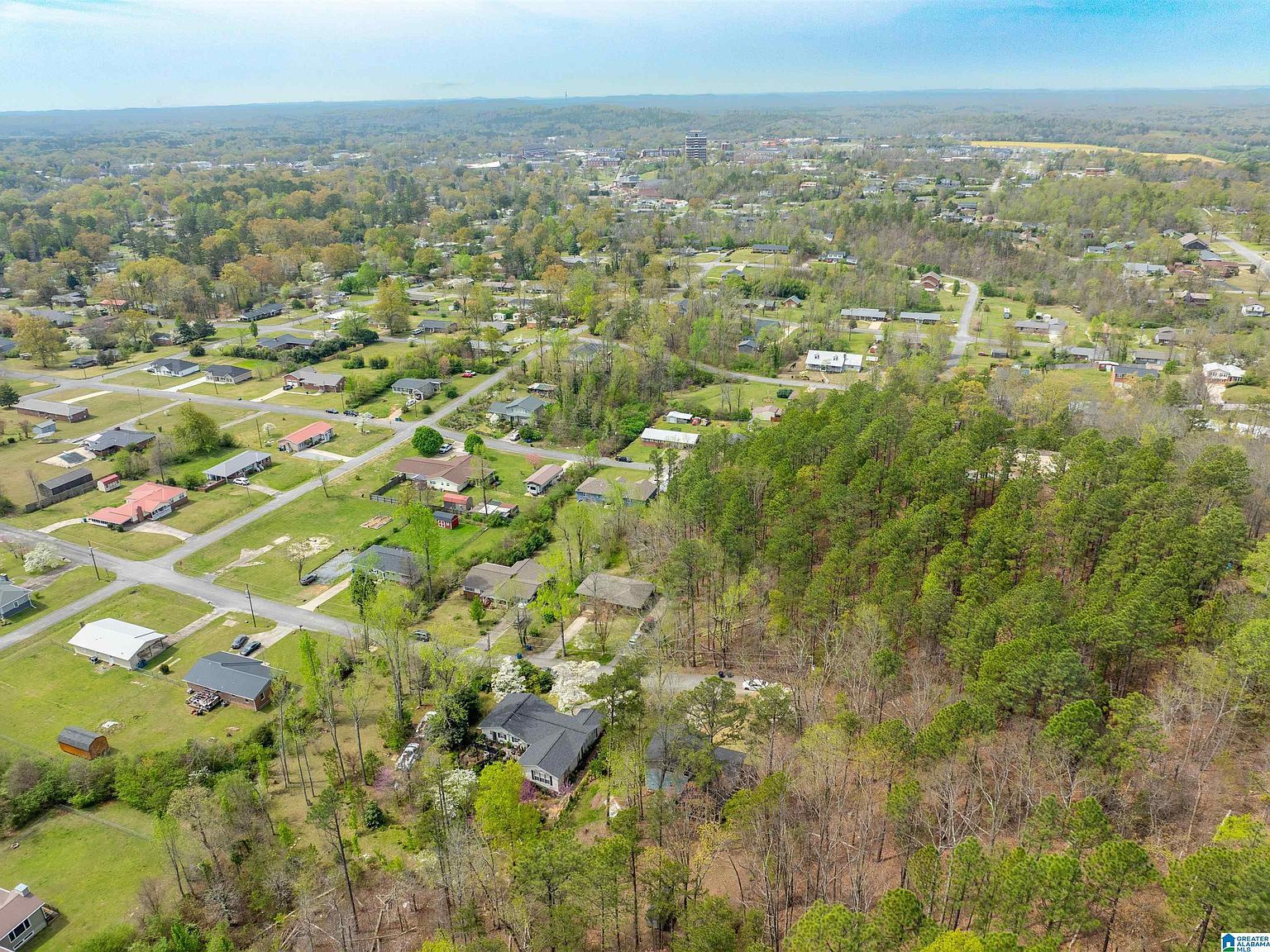 910 12th Ave NE Jacksonville, AL 36265  | Single Family