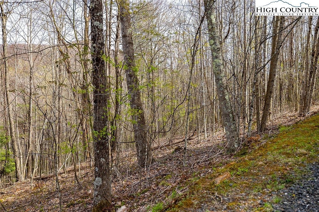15 Bluff Canyon Dr West Jefferson, NC 28694  | Land/Lot
