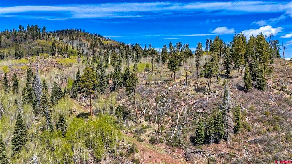 1515 County Road 243 Durango, CO 81301  | Land/Lot