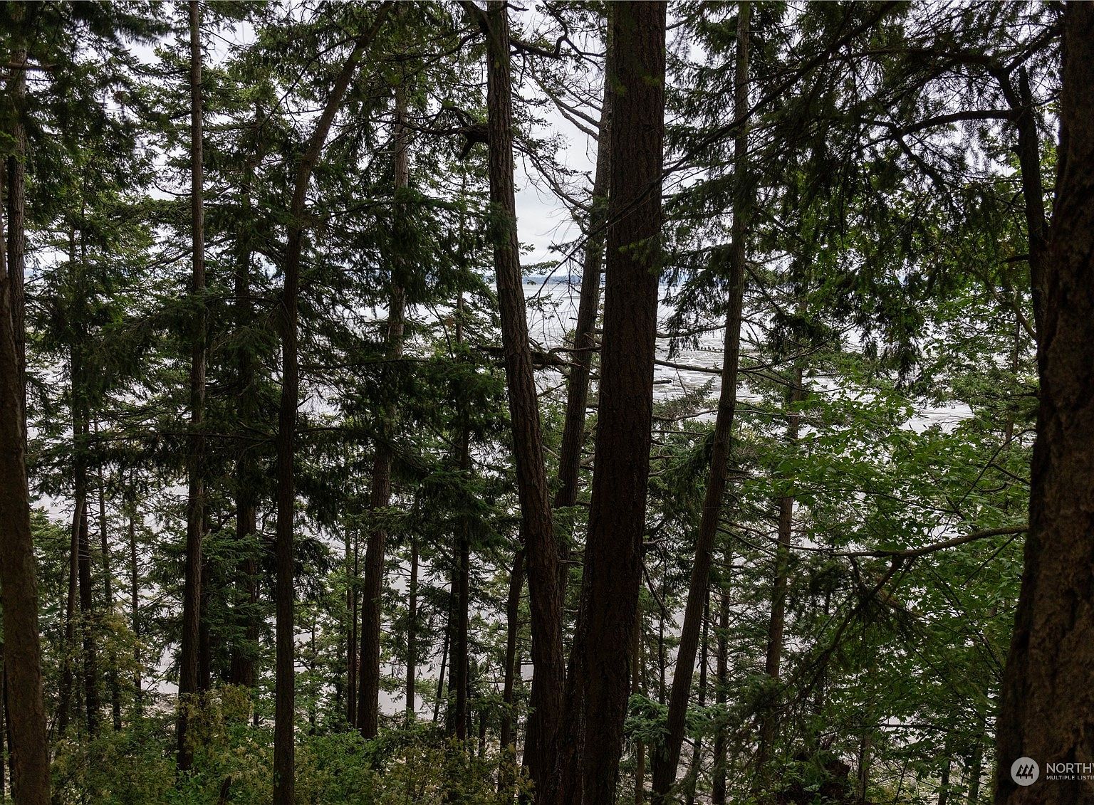 2190 Chuckanut Dr Bow, WA 98232  | Land/Lot