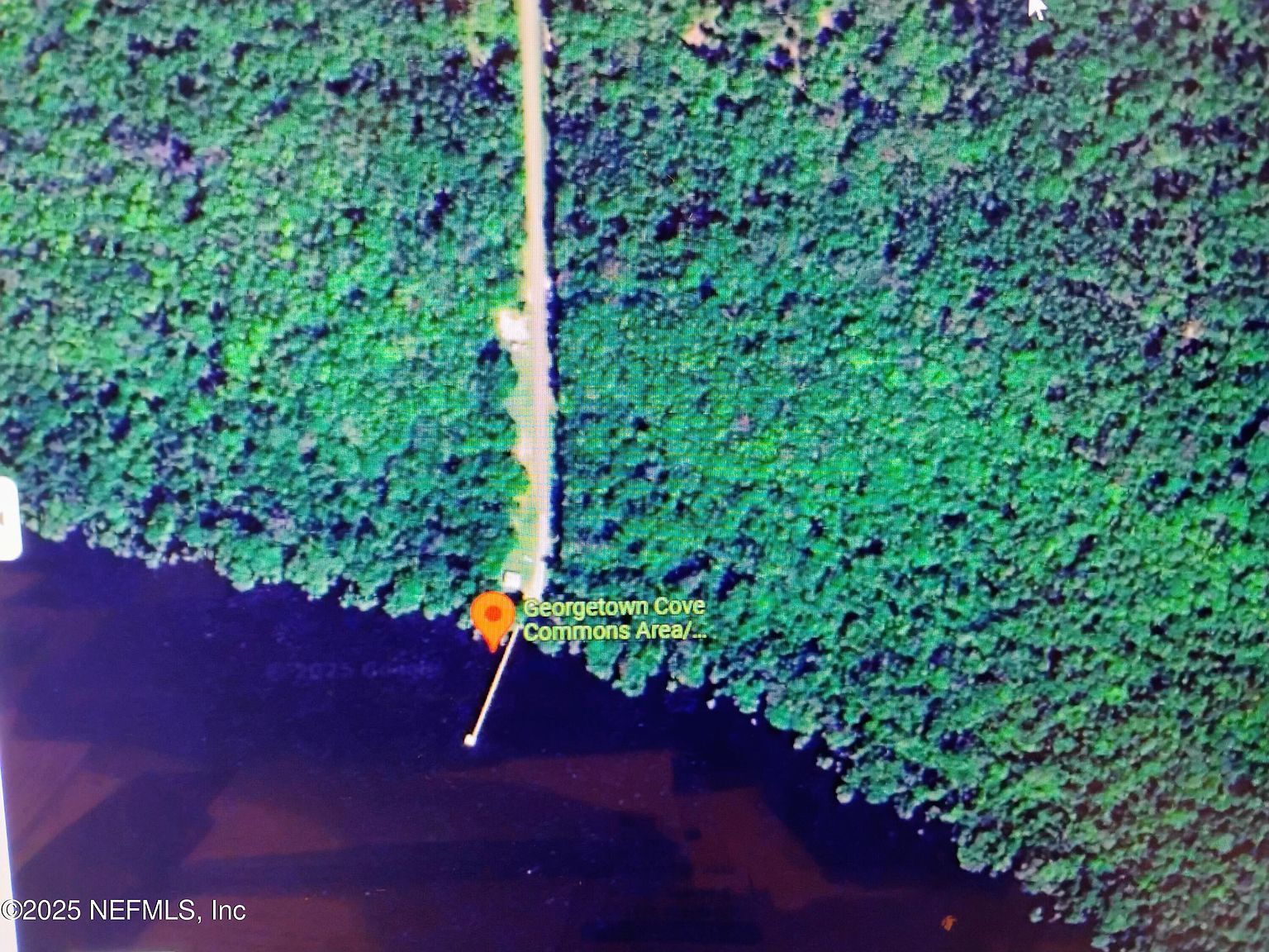 228 Atkins Rd Georgetown, FL 32139 | Land/Lot