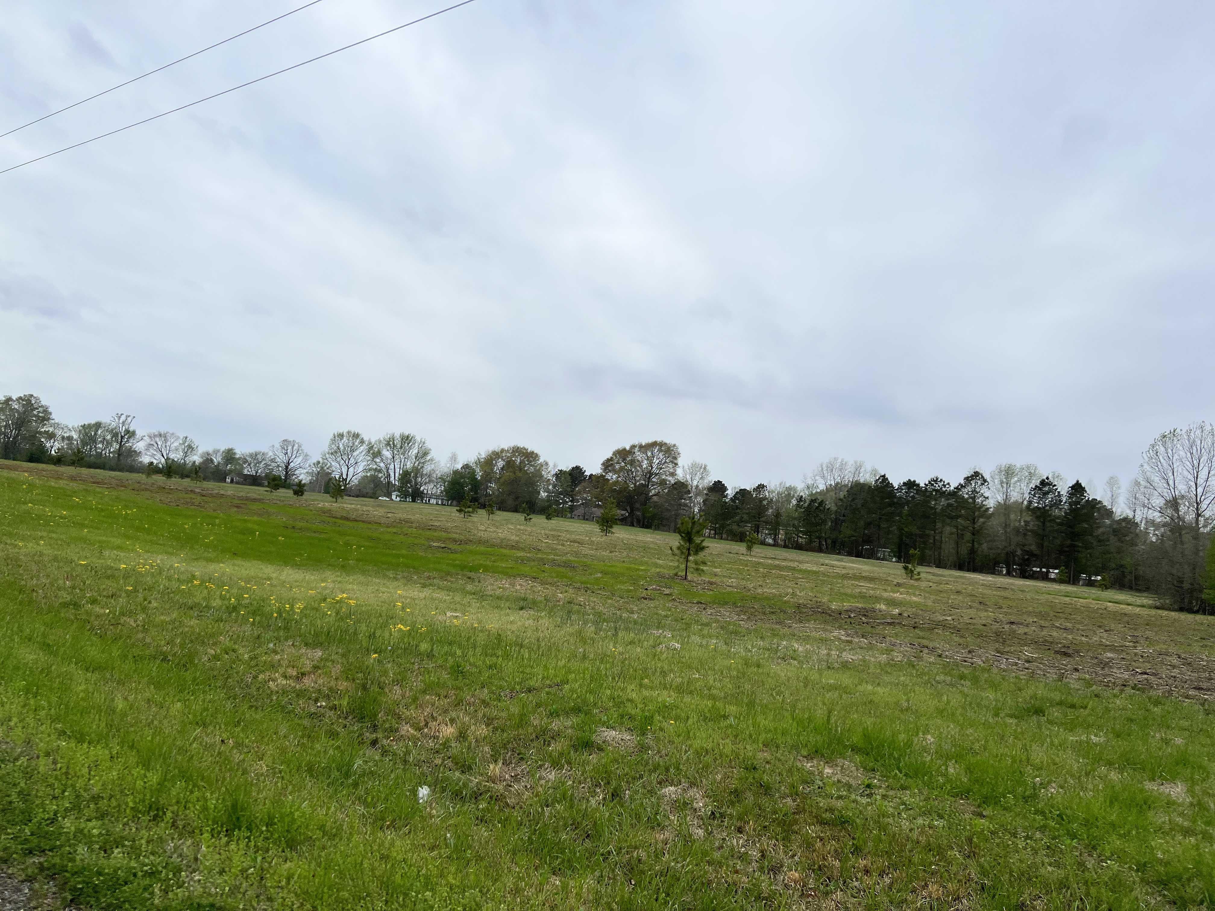 000 Cocklebur Road, Ward, AR, 72176  | Land/Lot