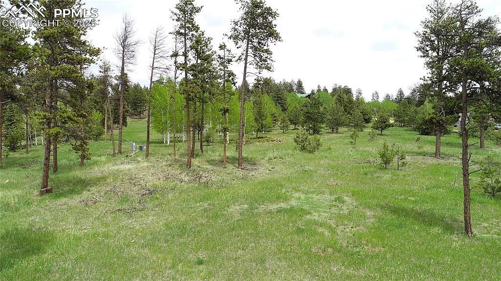 210 Bridlewood Ln Woodland Park, CO 80863 | Land/Lot