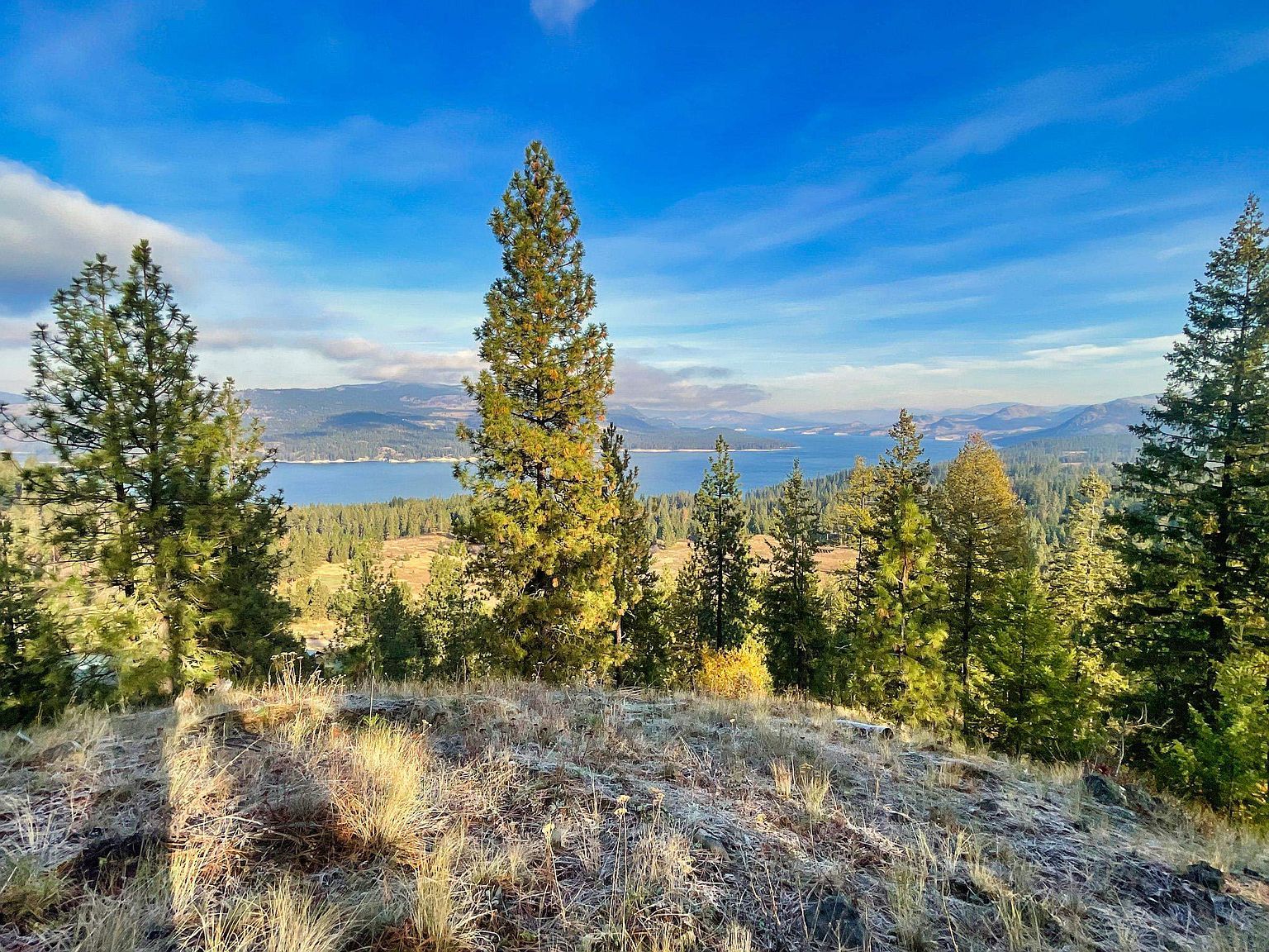 6237 Deer Tracks Way Fruitland, WA 99129 | Land/Lot