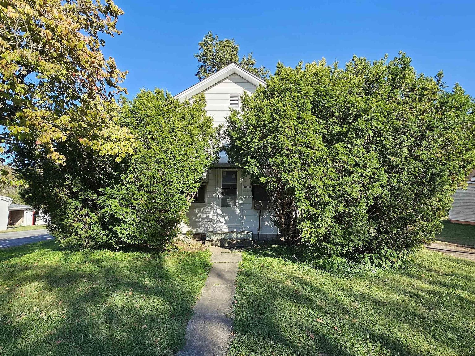 1313 Newton Ave Johnston City, IL 62951 - Thumbnail 3