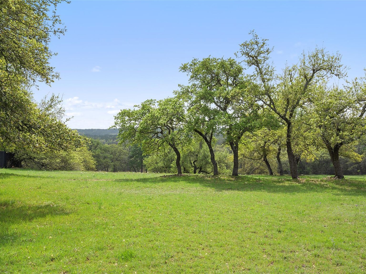 2910 La Ventana Pkwy Driftwood, TX 78619 - Thumbnail 3