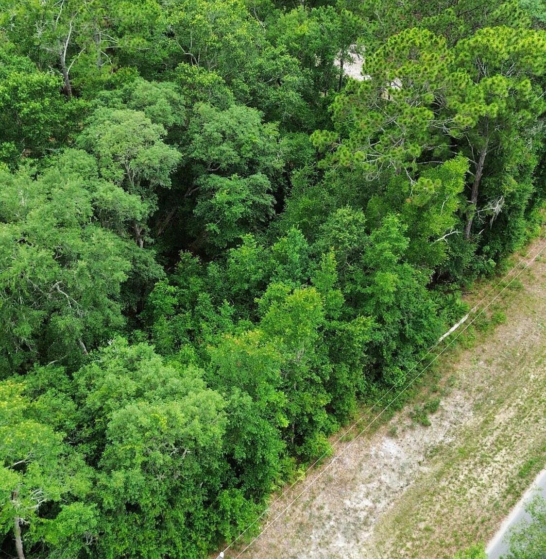 417 W Hillsborough Ave Florahome, FL 32140 - Thumbnail 3