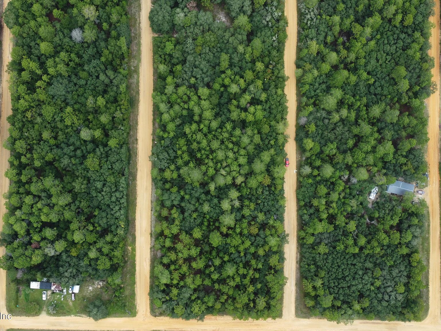 0 Louise Ave Interlachen, FL 32148 - Thumbnail 3