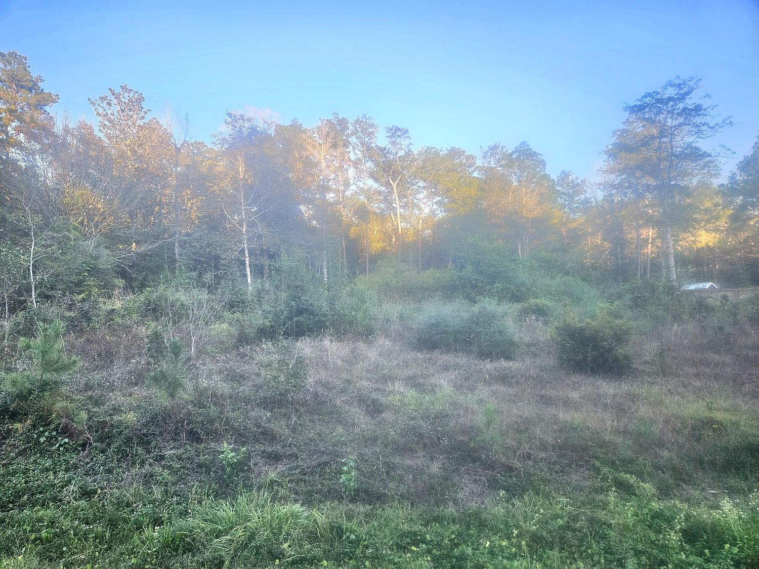 9855 N Park Rd Lumberton, TX 77657  | Land/Lot