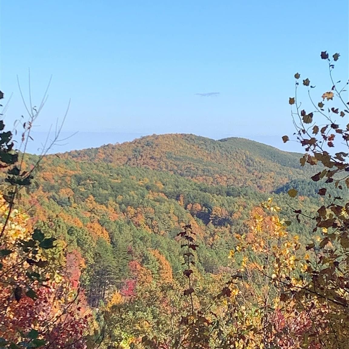 3901 High Peak Ter Valdese, NC 28690 - Thumbnail 3