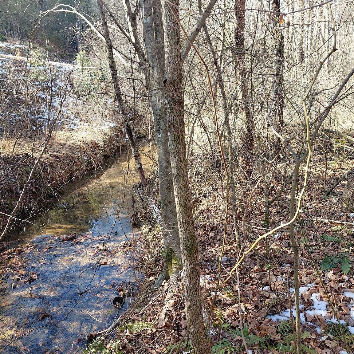 3825 Wood Glen Dr #5 Morganton, NC 28655 - Thumbnail 3