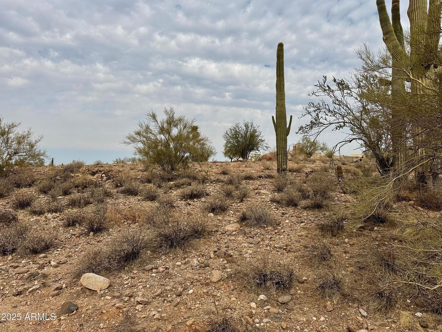 43925 Saguaro Blossom Ln Morristown, AZ 85342 - Thumbnail 3