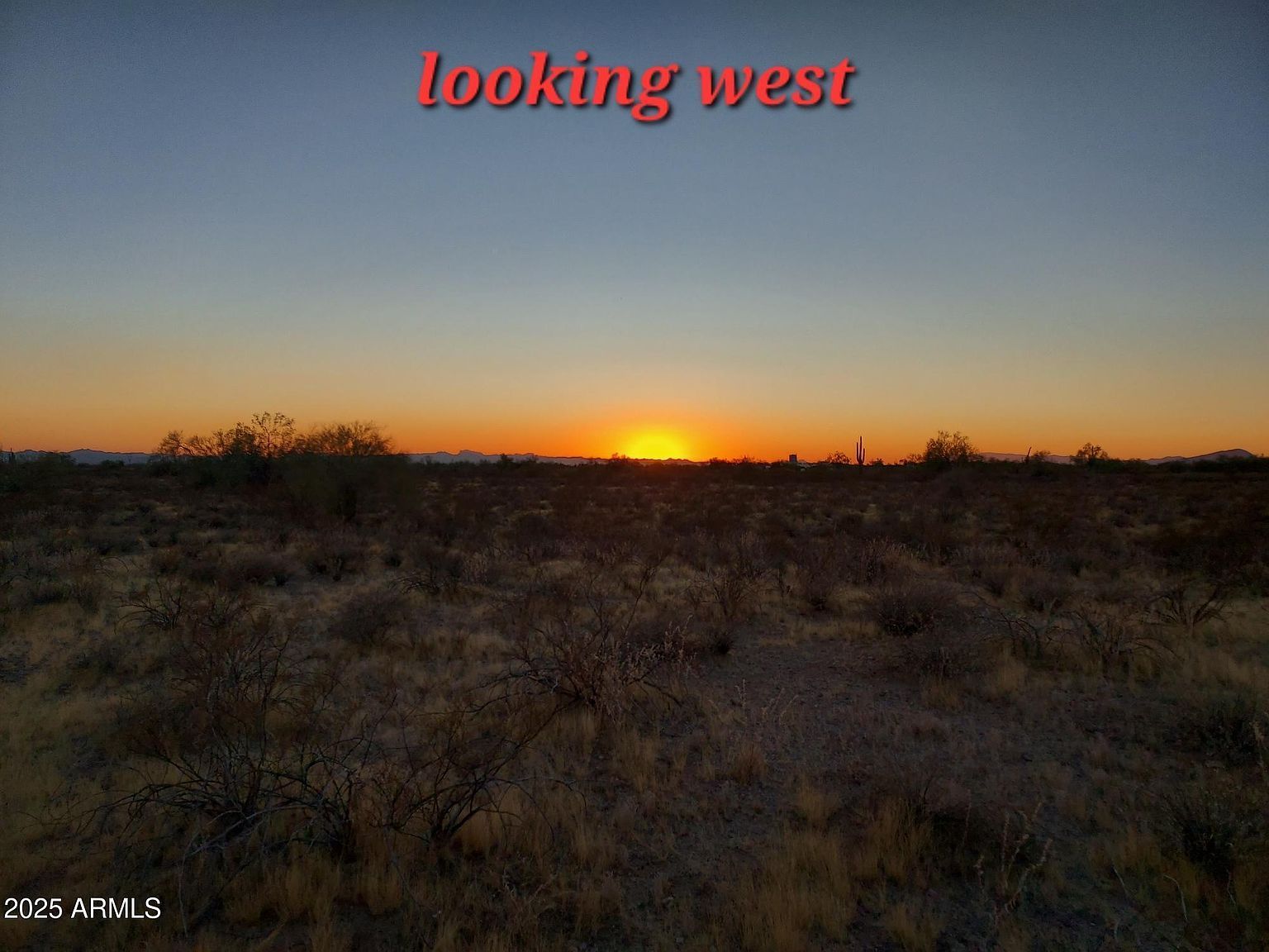 Xx00 W Villa Cassandra Way #203 Wittmann, AZ 85361 - Thumbnail 3