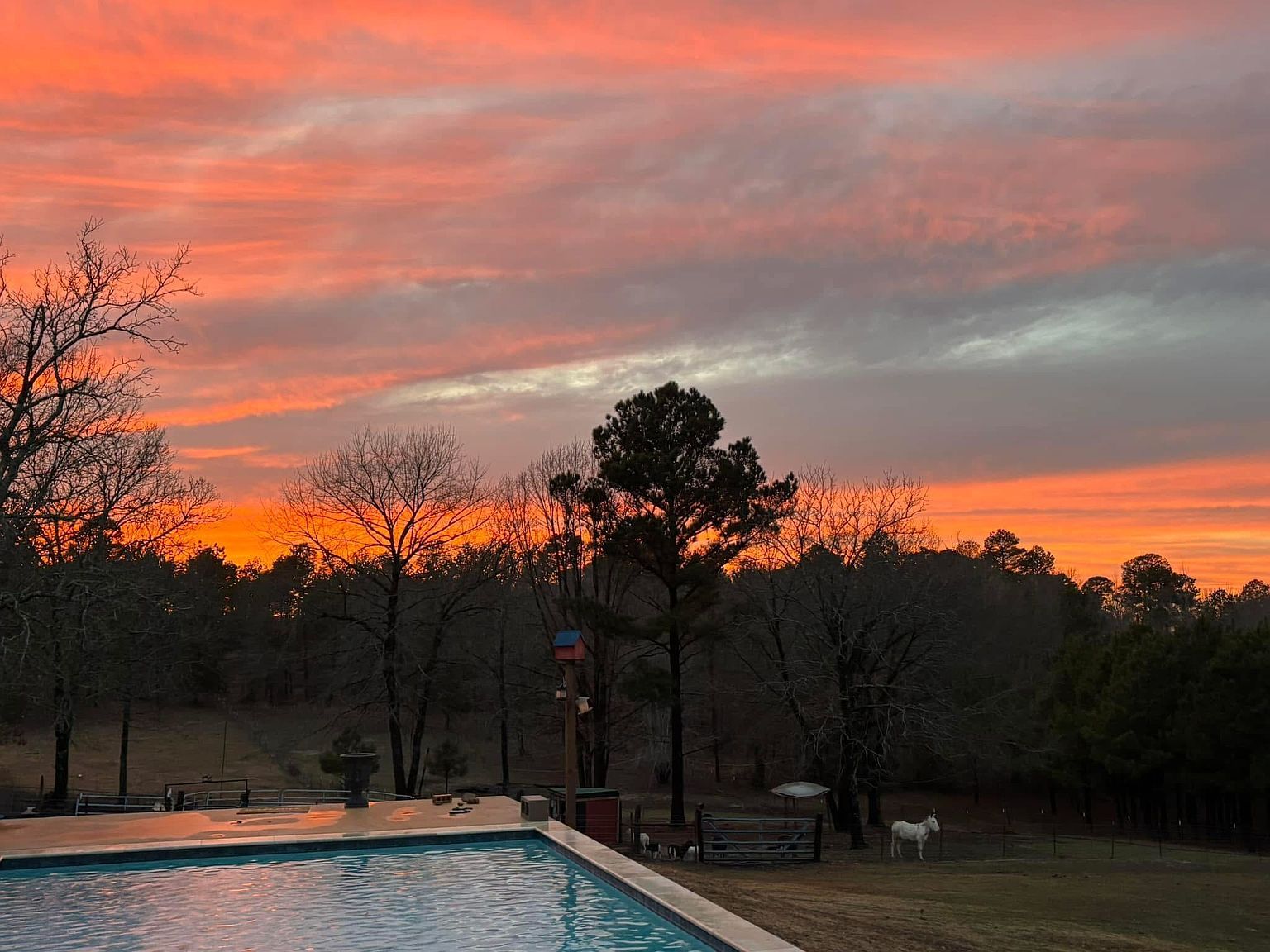 140 County Road 2242 Daingerfield, TX 75638 - Thumbnail 3