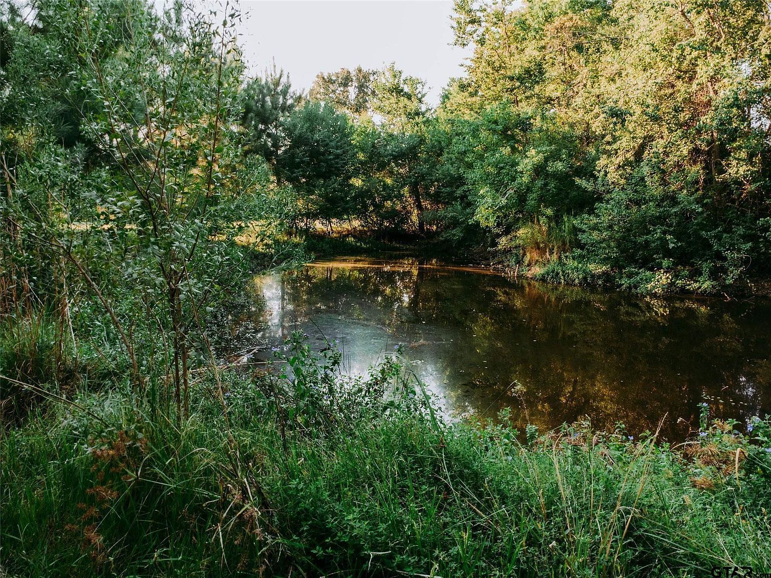 1609 County Rd Wells, TX 75976 - Thumbnail 3