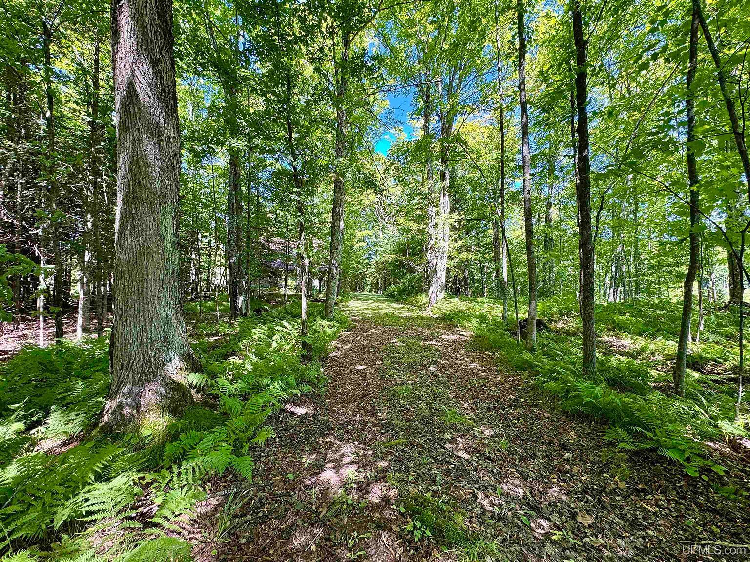 110 Old Unions Hwy #141 Crystal Falls, MI 49920 - Thumbnail 3