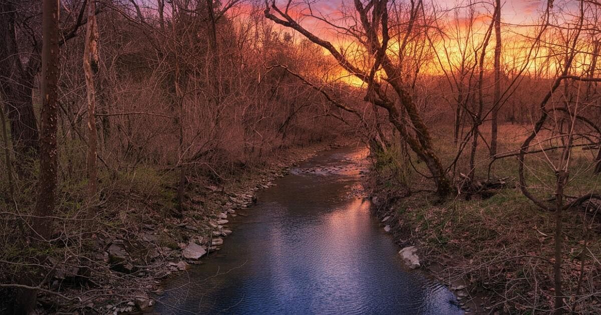 1205 Turner Rd Williamstown, KY 41097 - Thumbnail 3