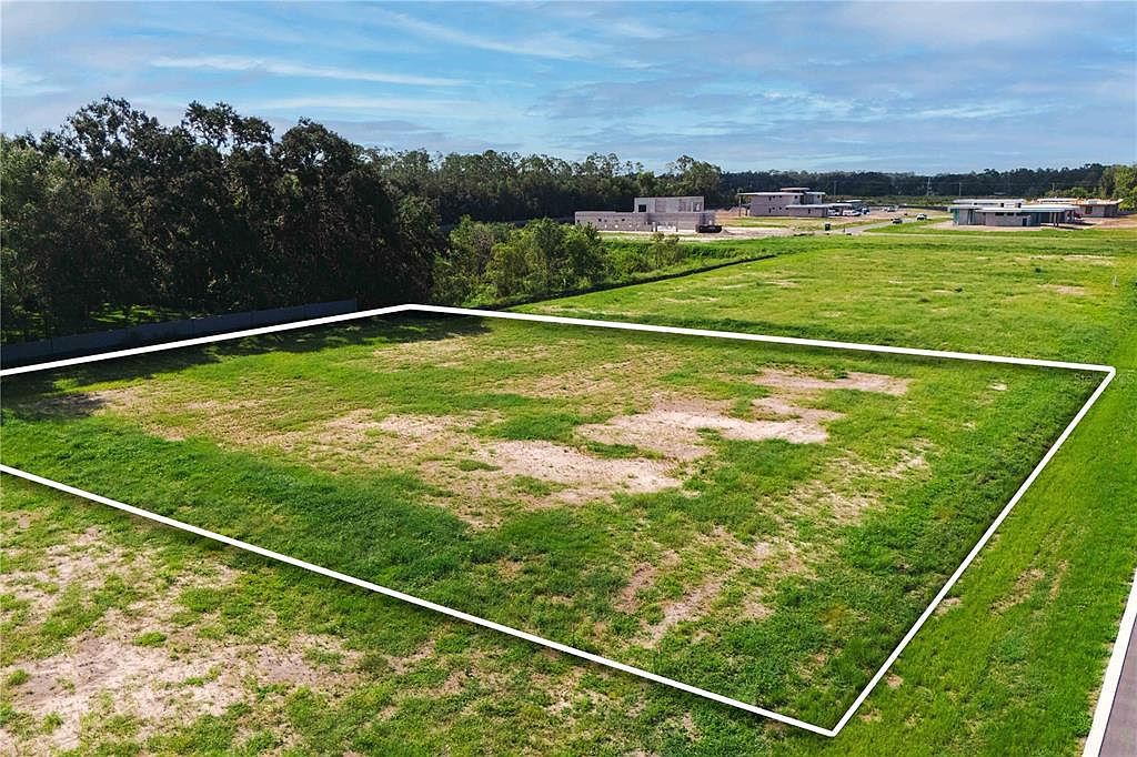 19319 Dimple Dr LOT 8 Odessa, FL 33556 - Thumbnail 3