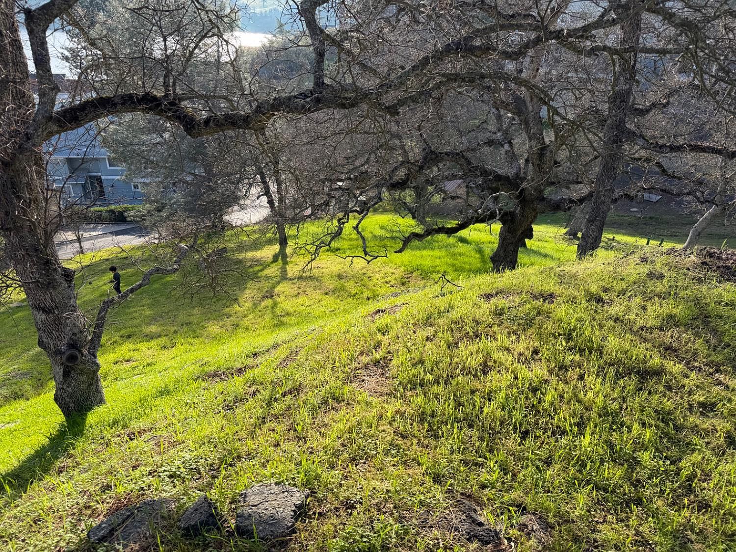 257 Thomson Ln Copperopolis, CA 95228 - Thumbnail 3