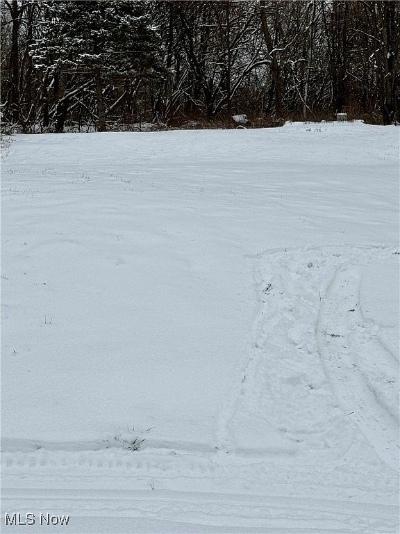 3028 Dearborn Ave Youngstown, OH 44510 - Thumbnail 3