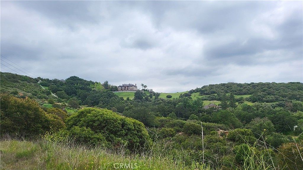 28052 Modjeska Grade Rd LOT 2 Silverado, CA 92676 - Thumbnail 3