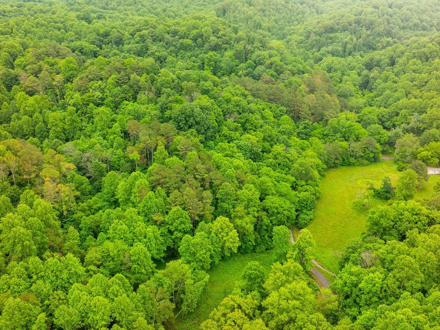 765 Leath Chapel Rd Bethpage, TN 37022 - Thumbnail 3