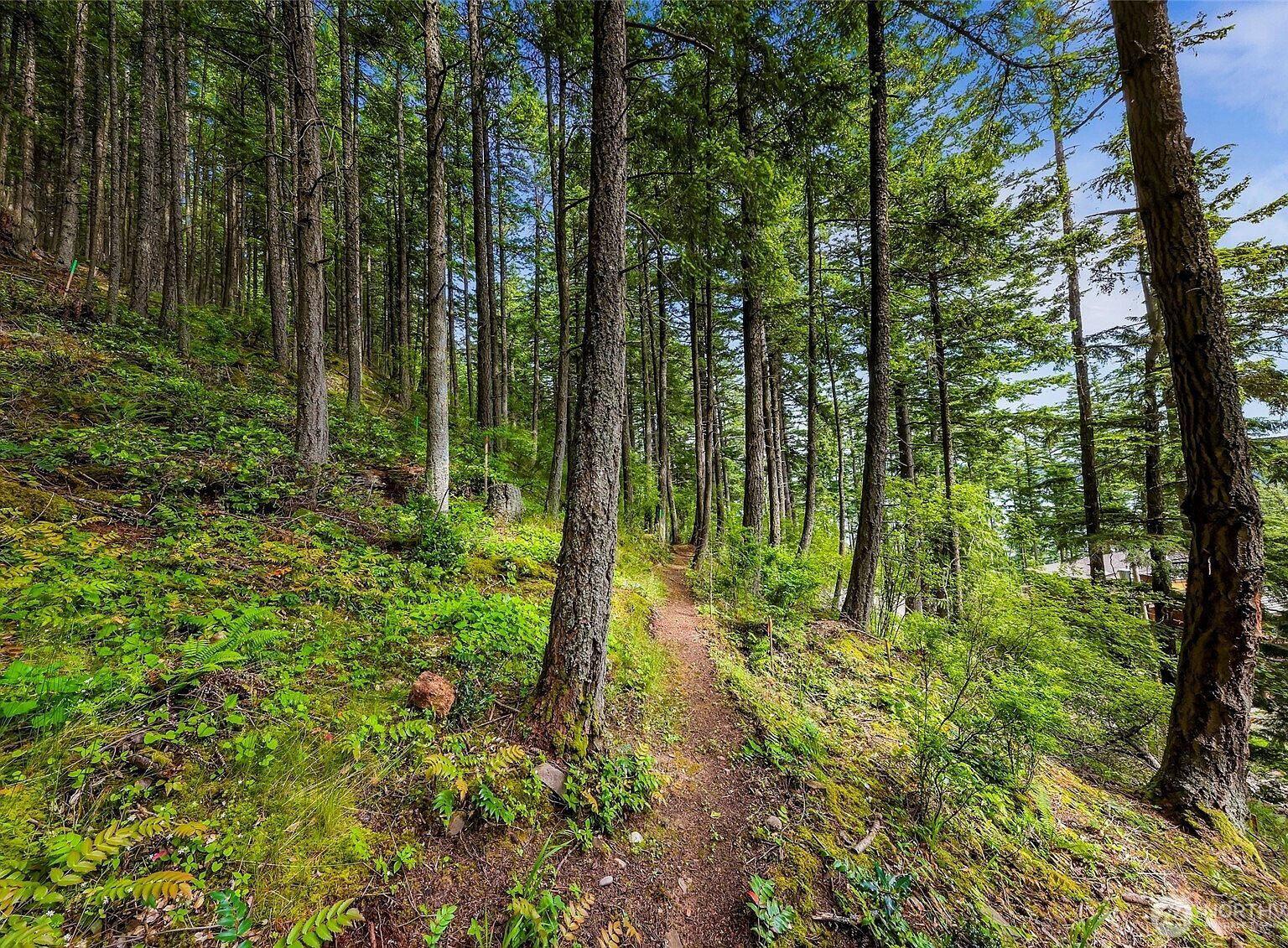 3073 Hales Passage Dr Lummi Island, WA 98262 - Thumbnail 3