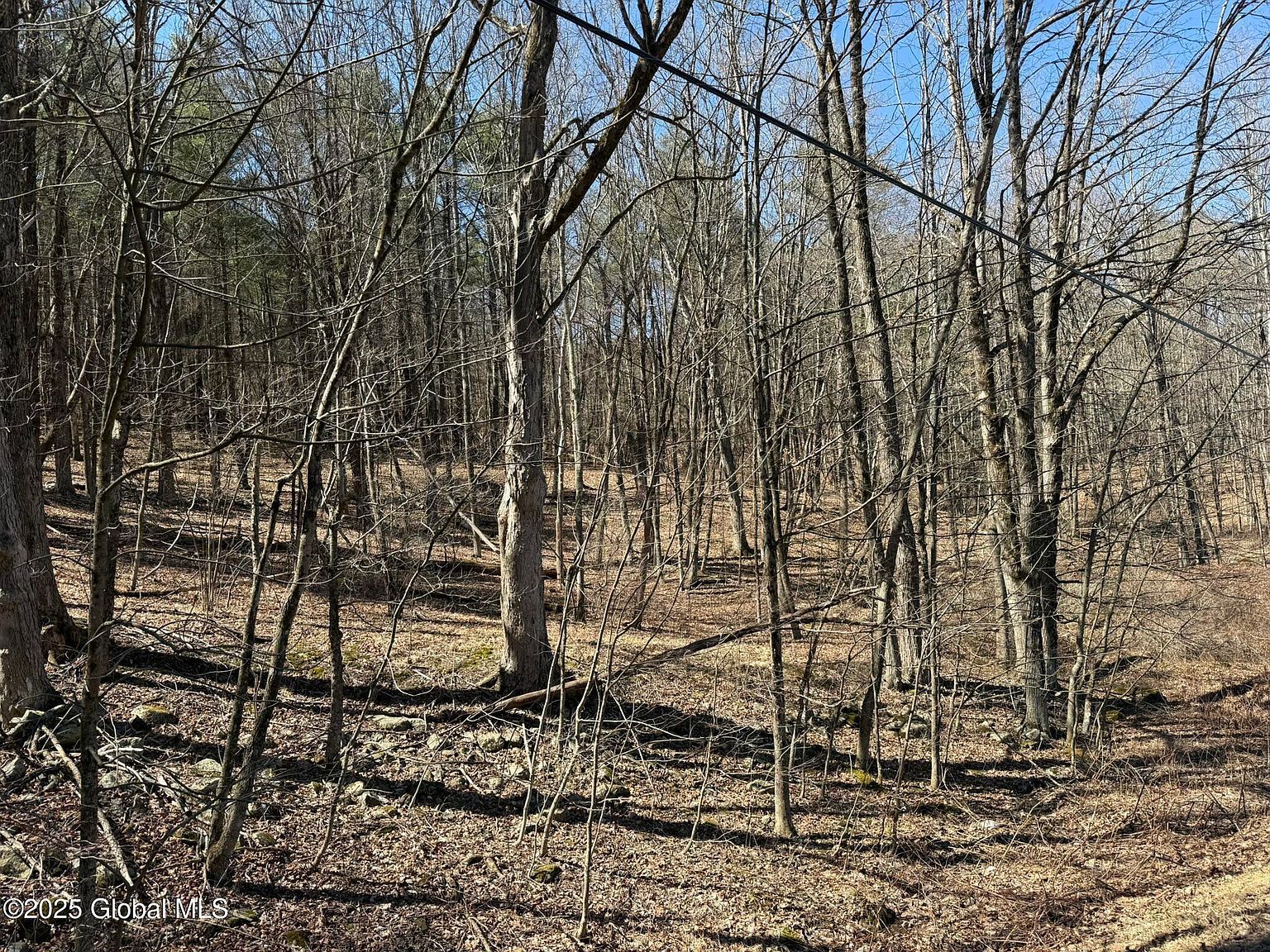 L1724 Tsatsawassa Lake Rd East Nassau, NY 12062 - Thumbnail 3