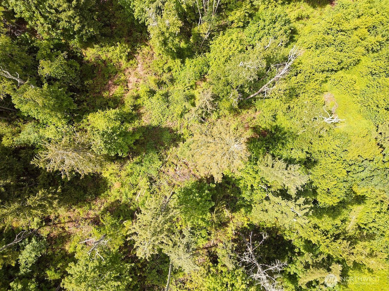 1812 Squalicum Mountain Rd Bellingham, WA 98226 - Thumbnail 3