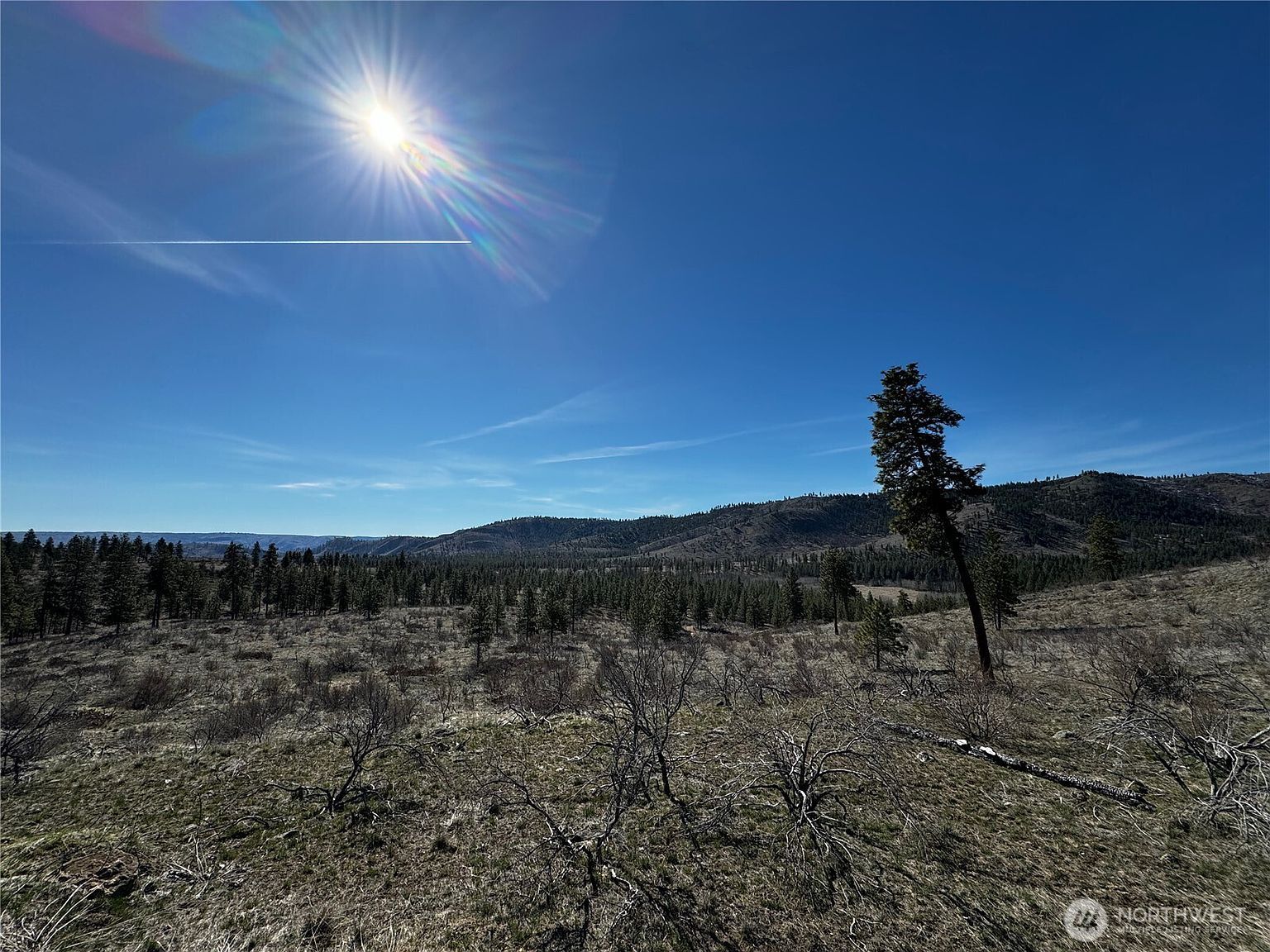 0 Nhn Washington Creek Rd Chelan, WA 98816 - Thumbnail 3