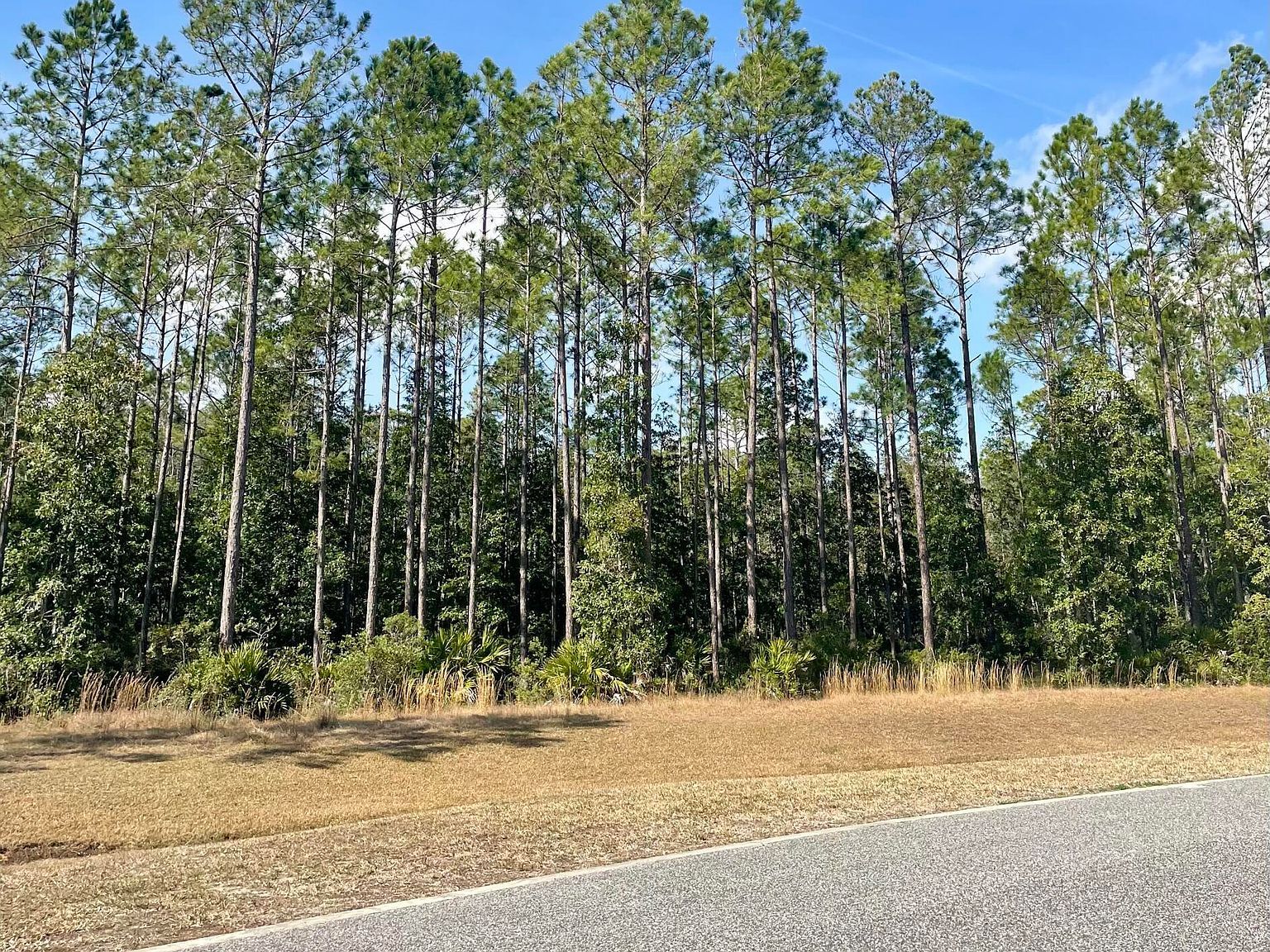 11068 Blazing Ridge Ct Jacksonville, FL 32219 - Thumbnail 3