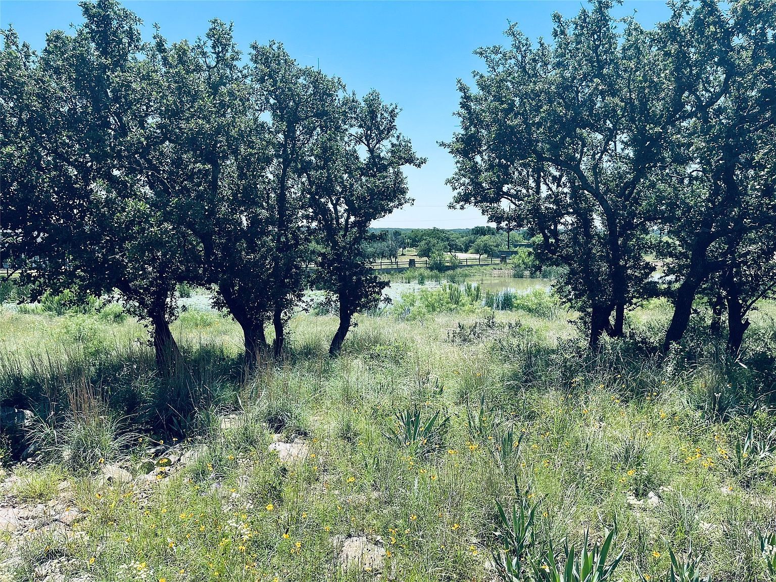 197 Willie B Dr Brownwood, TX 76801 - Thumbnail 3