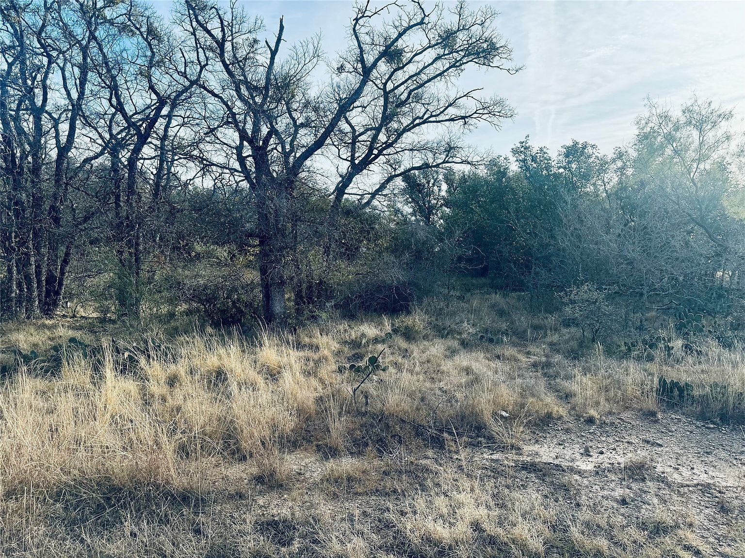 194 Willie B Dr, Brownwood, TX, 76801 - Thumbnail 3