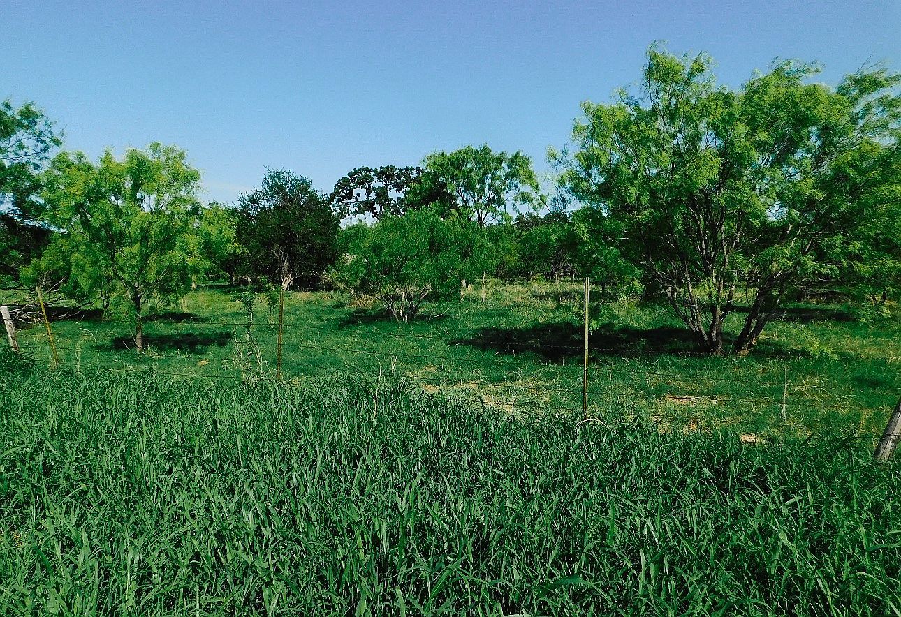 LOT 6 Morris Sheppard Dr Brownwood, TX 76801 - Thumbnail 3