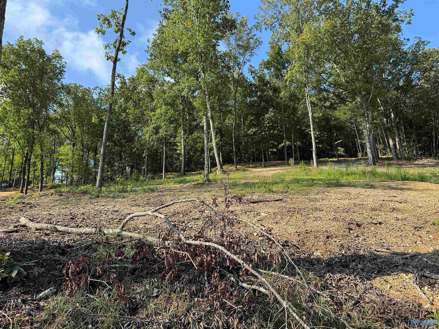 County Road 594 Leesburg, AL 35983  | Land/Lot