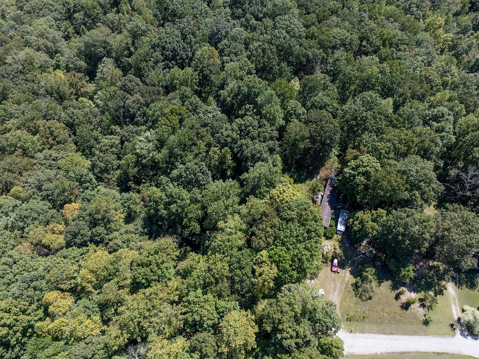 1028 Calahan Dr White Bluff, TN 37187 - Thumbnail 3