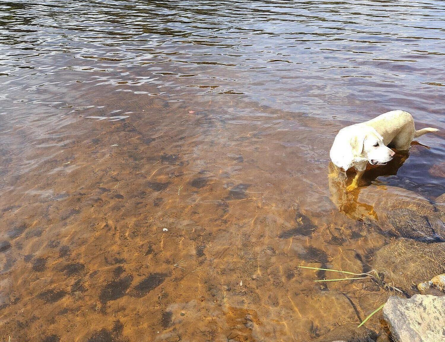 81 Hull Rd Rainbow Lake, NY 12976 - Thumbnail 3