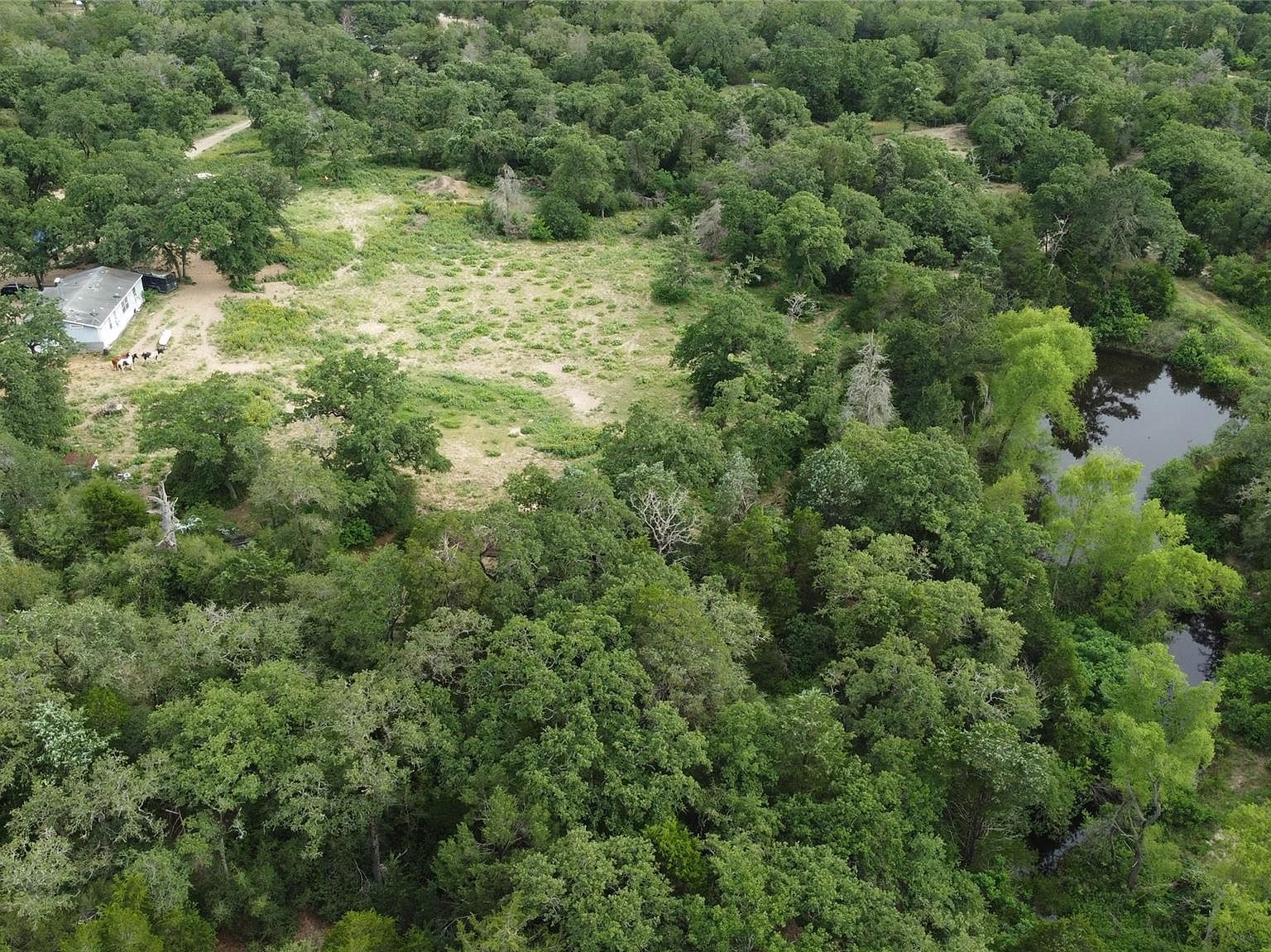 1085 Private Road 3063 Lexington, TX 78947 - Thumbnail 3