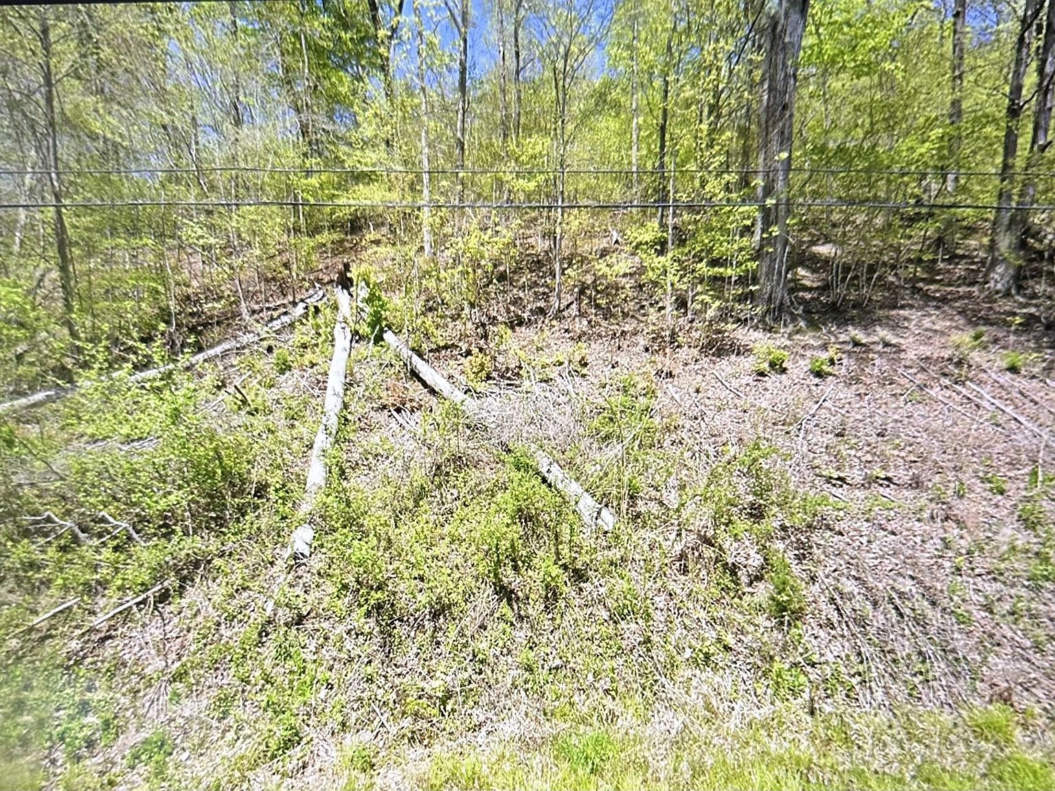 2024 Powdermill Hill Rd Lawrenceburg, TN 38464 - Thumbnail 3