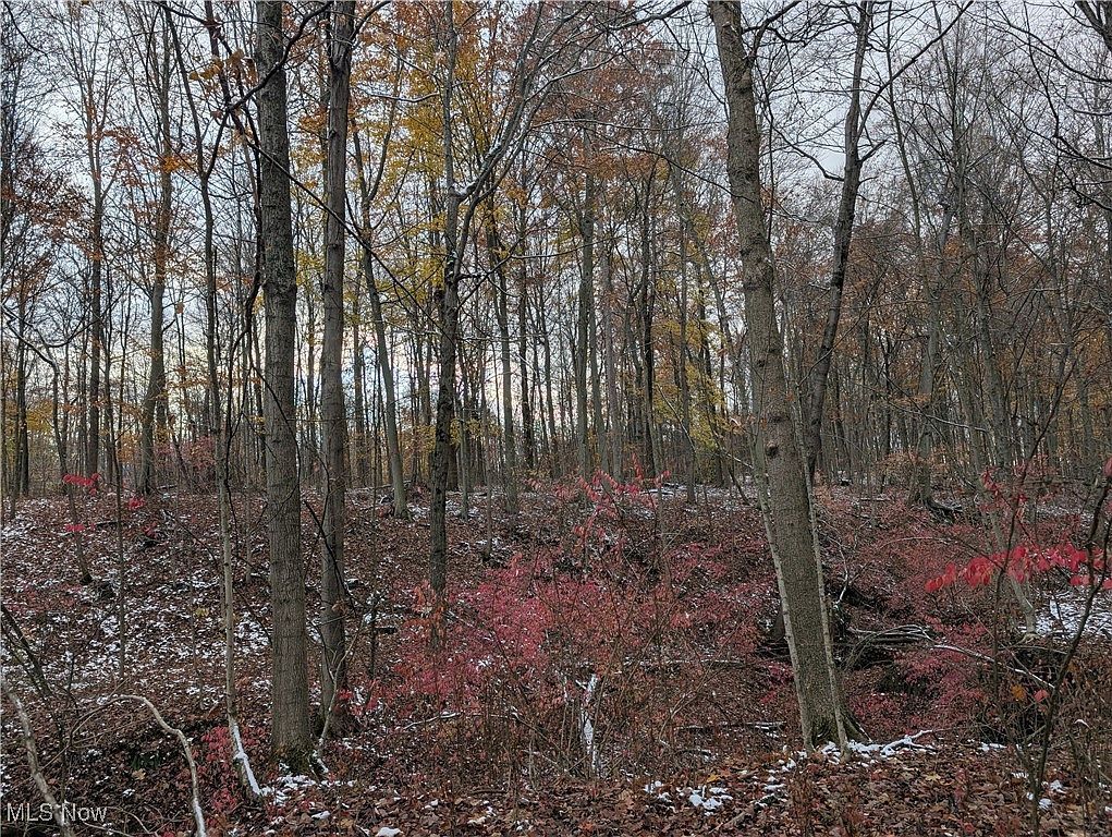 Greenwich Rd Lodi, OH 44254 - Thumbnail 3