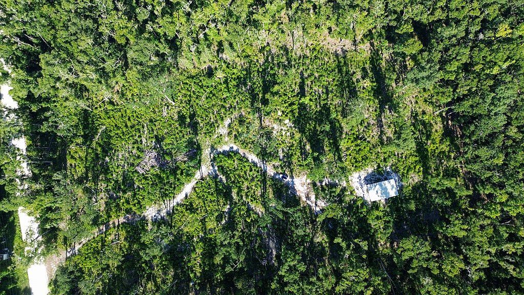 NE 249th Ave Old Town, FL 32680 - Thumbnail 3