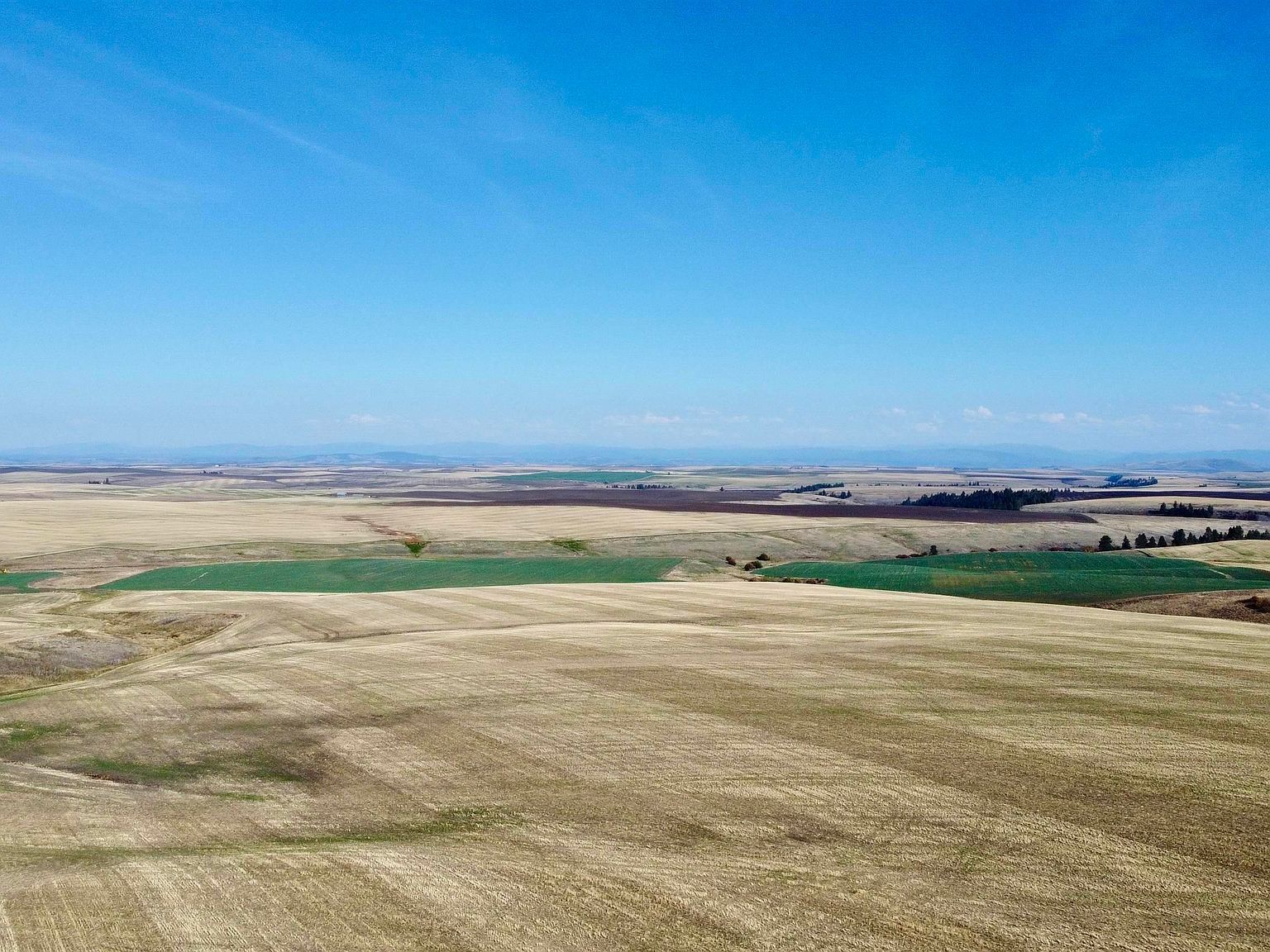 Westlake Rd #80AC Craigmont, ID 83523 - Thumbnail 3