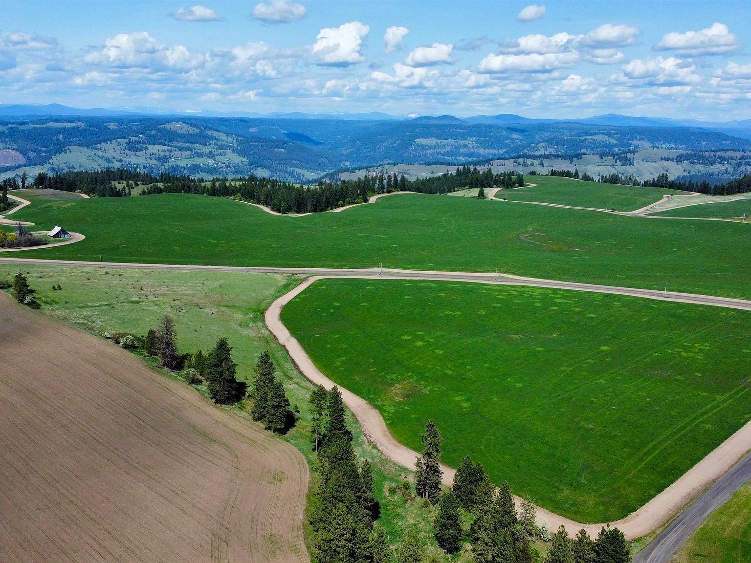 0 Gilbert Grade Rd Orofino, ID 83544 - Thumbnail 3