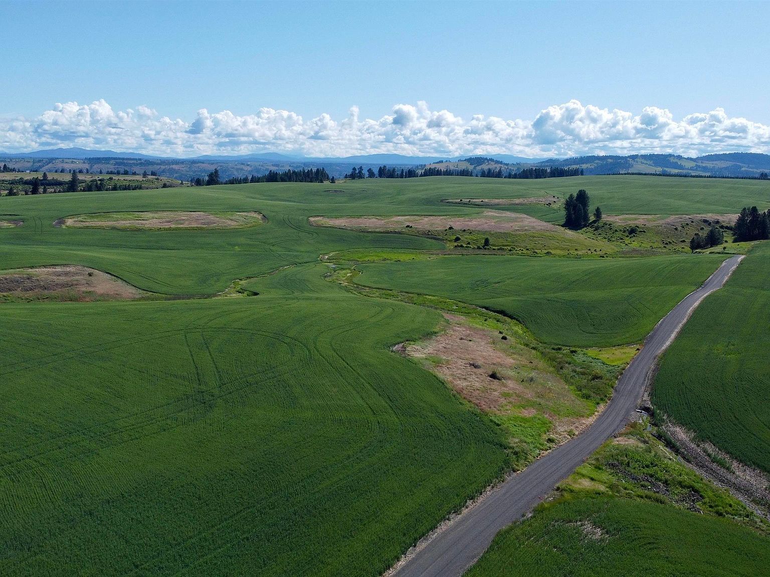 Basket Rd PARCEL 2 Nezperce, ID 83543 - Thumbnail 3