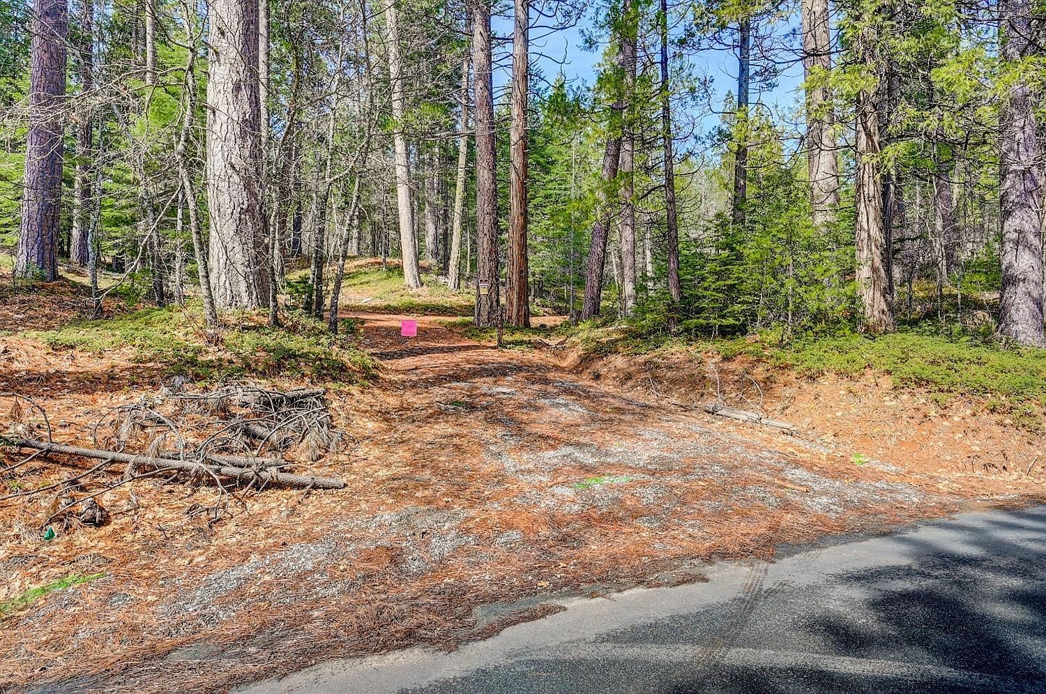 3488 Moran Rd #3184 Avery, CA 95224 - Thumbnail 3